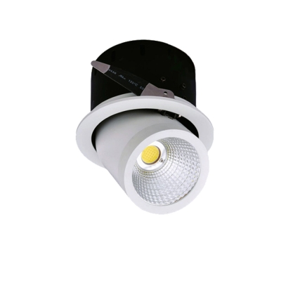 LED Луна COB Правоъгълна, Насочваща Се 35W