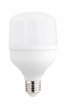 LED Крушка E27 T80 24W