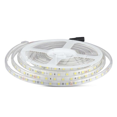 LED Лента 5050 60/1 24V IP65 4000K