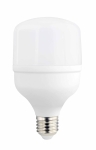LED Крушка E27 T80 24W