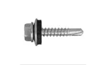 Sel Tapping Screw ST5.5*25mm