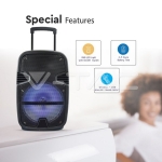 35W Преносима Колона Тип "Куфар" с Микрофон RF Контрол 12 inch RGB