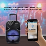 35W Преносима Колона Тип "Куфар" с Микрофон RF Контрол 12 inch RGB