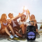 35W Преносима Колона Тип "Куфар" с Микрофон RF Контрол 12 inch RGB