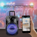 35W Преносима Колона Тип "Куфар" с Микрофон RF Контрол 12 inch RGB