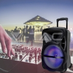 35W Преносима Колона Тип "Куфар" с Микрофон RF Контрол 12 inch RGB
