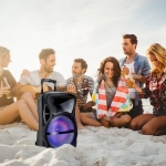 35W Преносима Колона Тип "Куфар" с Микрофон RF Контрол 12 inch RGB