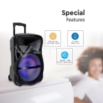 50W Колона С 1 Безжичен + 1 Жичен Микрофон RF Контрол 15inch