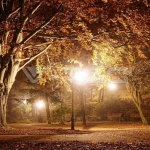 Градиснки Лампа 1ХE27 1365мм Черен IP44