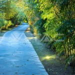 1W LED Осветител за Стъпала Черен Двупосочен 6500K