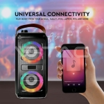 2x10W Презаредима Тон Колона USB TFSlot RGB 2x3 inch