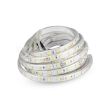 LED Лента 5050 60/1 24V IP65 6500K