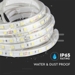 LED Лента 5050 60/1 24V IP65 6500K