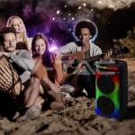 400W Колона С Жичен Микрофон Дистанционно 2x6.5 inch