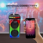 400W Колона С Жичен Микрофон Дистанционно 2x6.5 inch