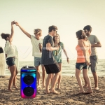 400W Колона С Жичен Микрофон Дистанционно 2x6.5 inch