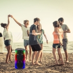 600W Колона С Жичен Микрофон Дистанционно 2x8 inch