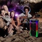 600W Колона С Жичен Микрофон Дистанционно 2x8 inch