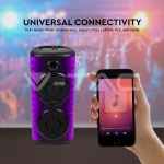 600W Колона С Жичен Микрофон Дистанционно 2x8 inch